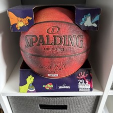 Space Jam 30th Anniversary Spalding 29.5