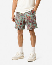 Rebel Minds Paisley Jacquard Shorts – Mint picture