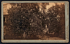 A 1890's home in Kississisme, Florida~By~Fields & Fisher ~ Leesburg, Fla. picture