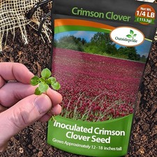 10 LBS - Inoculated Bulk Crimson Clover Seed For Planting Pastures, Cover picture