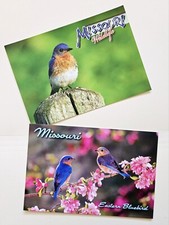 Missouri Postcards.  Birds. Lot Of 2. picture