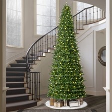12 ft Pre-Lit Sheridan Sure-Lit Pole Slim Pine Christmas Tree, 800 Color-Changin picture