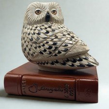 De Rosa Rinconada Limited Edition #911/3000 ‘Owl On Book’ 1993 Large Wildlife picture