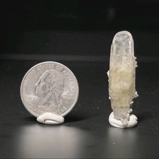 Sweetwater mine Dogtooth calcite with dolomite picture