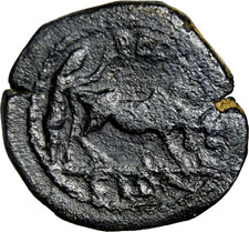 Colonization of Judaea & Arabia Decapolis. Petra. Elagabalus Roman Coin Plough picture