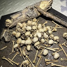 1/12 Scale Human Beings Skeleton PVC Model for 6