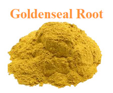 Goldenseal Root Powder (Hydrastis Canadensis) 1 oz – Healing and Health Benefits picture