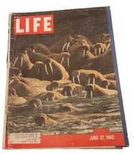 June 27, 1960 LIFE Magazine 1960's Advertising ad ads,  6 62 26 28 25 picture