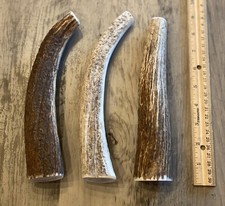 (3 PACK) X-LARGE Elk/Deer Antler Premium Dog Chews **OREGON ANTLER WORKS** picture