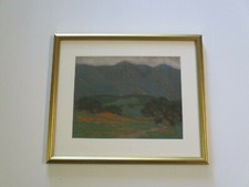 RAYMOND NOTT DRAWING EARLY CALIFORNIA LANDSCAPE TONALIST POPPIES MOUNTAN VINTAGE picture