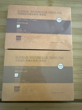 BAOHONG Academy Grade Watercolor Paper, 100%Cotton Rough, 20 Sheets X2 picture
