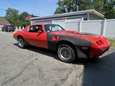 1979 Pontiac Firebird 6.6 picture