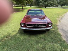 1965 Ford Mustang  picture
