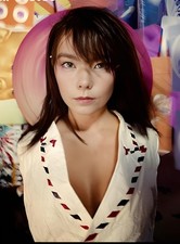 11.69x16.54 Bjork 1995 Debut Poster picture