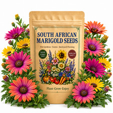 50 South African Marigold Seeds - Garden Flowers for Home Planting Pollinator picture