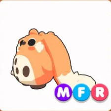 MFR Cabbit add disc @caused6 picture