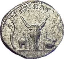 Ancient Caracalla Coin AR Denarius Scarce DESTINATO IMPERAT Bull Skull RIC 6 picture