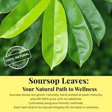 Dried Soursop Leaves, Natural Soursop Graviola Leaves, Hojas De Guanabana 2.6 Oz picture