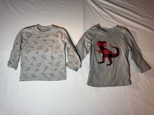 Grey Dinosaur Long Sleeve T-Shirt 12 Months Baby Boy Clothes picture