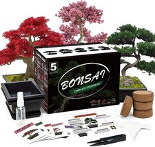 Complete Bonsai Starter Kit 5 Seed Varieties Indoor DIY Growing Beginner Gift picture