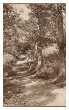 Boston Massachusetts 1906 Franklin Park Stone Stairway Standard Postcard picture