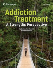 Addiction Treatment: A Strengths Perspective by Diane Davis Paperback Book picture
