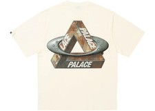 Size M Palace x Oakley T-Shirt (FW24) White picture