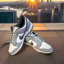 Nike Dunk Low Retro SE Men’s Low Top Lace Up Leather White/Gray FJ4188-100 picture