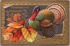 c1910s THANKSGIVING Embossed Postcard Turkey & Colorful Fall Leaves / UNUSED picture
