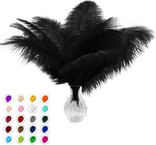 Piokio 20 Pcs Natural Black Ostrich Feathers 6-8 Inch(15-20 Cm) Bulk for DIY picture