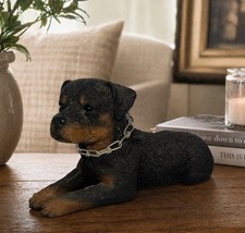 VTG Sandicast Rottweiler Dog Sculpture Chain Collar Signed Sandra Brue USA 1986 picture