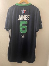 Lebron James Cavaliers 2014 All Star picture
