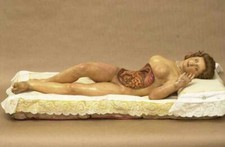 Antique Medical Anatomical Doll Photo 483 Oddleys Strange & Bizarre picture
