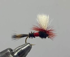 One Dozen (12) Parachute Royal Wulff, Dry Fly- Strike Fly Company picture