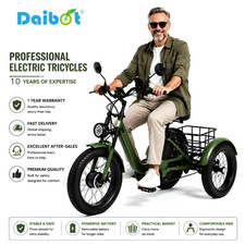 Daibot 750W Electric Trike 24