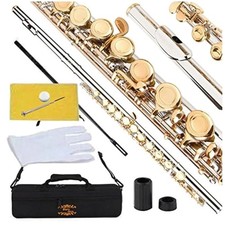Professional C Flute Set with Case and Accessories picture