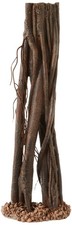 Underwater Treasures Mangrove Root - Small Small, Brown picture