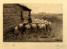Antique Dutch Etching After Anton Mauve (1838-1888) A Shepherd with His Flock picture