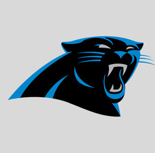 Carolina Panthers Laminated Magnet, Variety of sizes picture