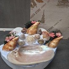 Wildwood NJ Vintage Seashell Souvenir Trinket Dish Shell Art Display Dated 1953 picture