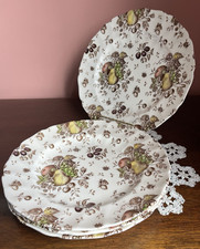 Johnson Brothers Autumn's Delight Dinner Plates Set of 4 picture
