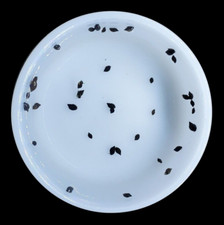 50+ Live Bladder snails(Physella acuta)-Feeders-Nutritious Live Food-Puffer food picture
