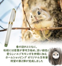 Sailor Pro Gear Ezo Momonga Fountain Pen M Nib Limited Edition Japan New picture