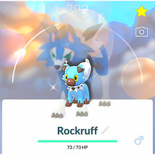 🌟 Shiny 🌟  Rockruff & Lycanroc (Dusk form) | Pokémon GO picture