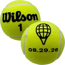 ROGER FEDERER WILSON 2026 HALL OF FAME MINI JUMBO TENNIS BALL 5