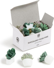 Succulent Push Pins Set, 9 Count, Three Assorted Styles picture