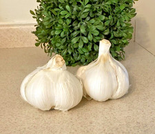 Elephant Garlic Bulbs 3 Large Size Great for Eating Or Planting Spring To Fall picture