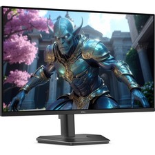 Dell 24