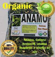 Anamu Guinea henweed (Petiveria alliacea)anamú mapurite o hierba de ajo picture
