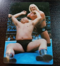 Hulk Hogan Toshi&Seikatsu Plastic  Wrestling Card  NJPW WWF picture